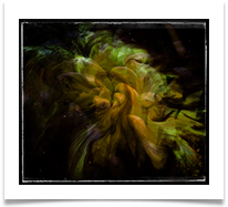 2020 10 flower art  - Carol Sparkes